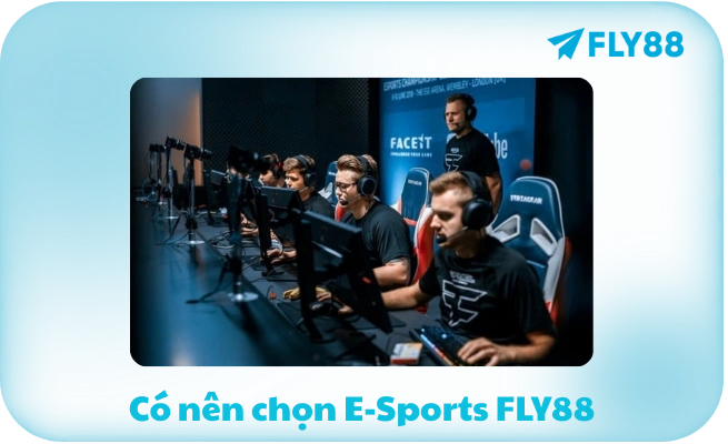 Có nên chọn E-Sports FLY88
