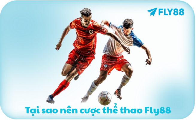 Tai sao nen cuoc the thao Fly88 Tại sao nên cược thể thao Fly88