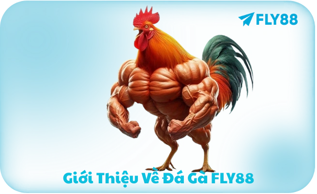 Tổng Quan Cá Cược FLY88