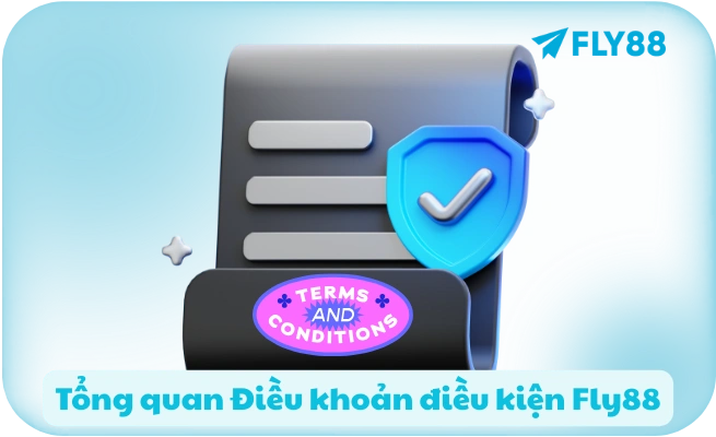 Tổng quan Điều khoản điều kiện Fly88